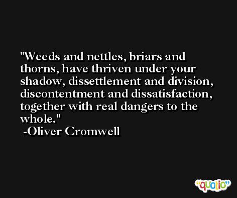 Weeds and nettles, briars and thorns, have thriven under your shadow, dissettlement and division, discontentment and dissatisfaction, together with real dangers to the whole. -Oliver Cromwell