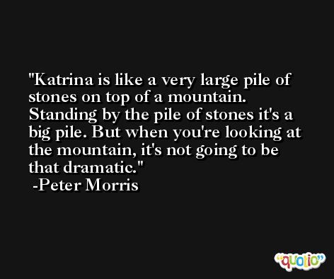 Katrina is like a very large pile of stones on top of a mountain. Standing by the pile of stones it's a big pile. But when you're looking at the mountain, it's not going to be that dramatic. -Peter Morris