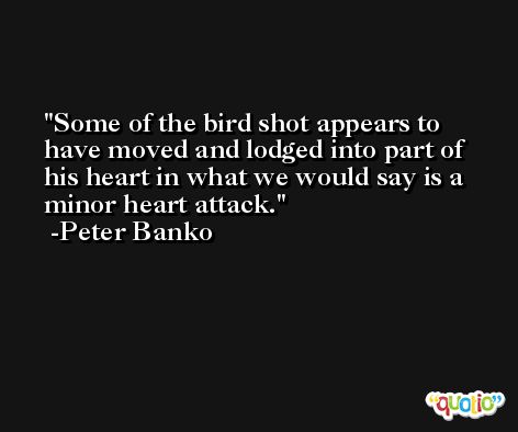 Some of the bird shot appears to have moved and lodged into part of his heart in what we would say is a minor heart attack. -Peter Banko