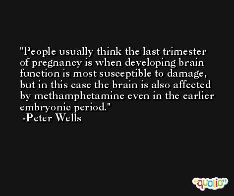 People usually think the last trimester of pregnancy is when developing brain function is most susceptible to damage, but in this case the brain is also affected by methamphetamine even in the earlier embryonic period. -Peter Wells