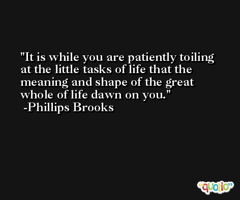 It is while you are patiently toiling at the little tasks of life that the meaning and shape of the great whole of life dawn on you. -Phillips Brooks