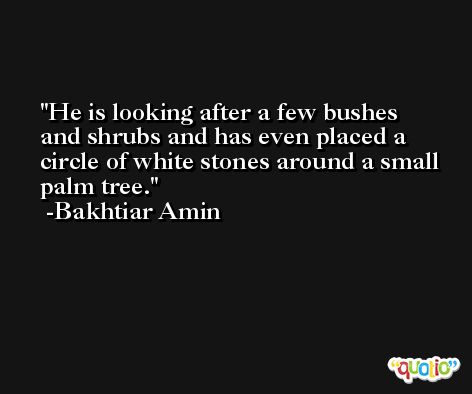 He is looking after a few bushes and shrubs and has even placed a circle of white stones around a small palm tree. -Bakhtiar Amin