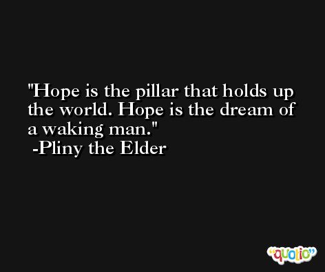 Hope is the pillar that holds up the world. Hope is the dream of a waking man. -Pliny the Elder