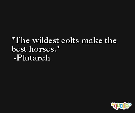 The wildest colts make the best horses. -Plutarch