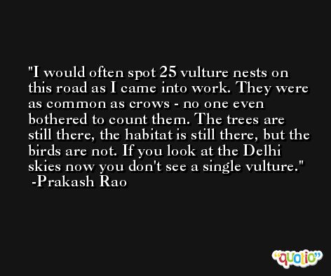 I would often spot 25 vulture nests on this road as I came into work. They were as common as crows - no one even bothered to count them. The trees are still there, the habitat is still there, but the birds are not. If you look at the Delhi skies now you don't see a single vulture. -Prakash Rao
