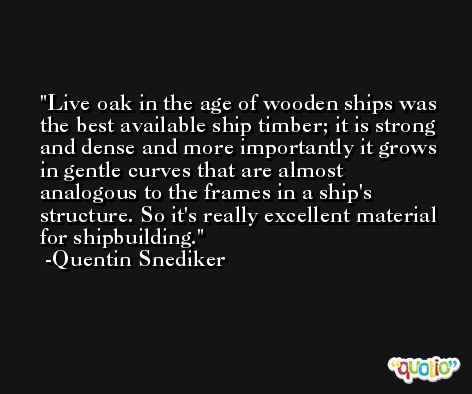 Live oak in the age of wooden ships was the best available ship timber; it is strong and dense and more importantly it grows in gentle curves that are almost analogous to the frames in a ship's structure. So it's really excellent material for shipbuilding. -Quentin Snediker