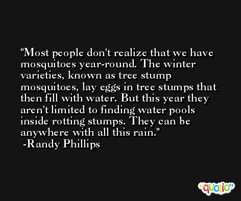 Most people don't realize that we have mosquitoes year-round. The winter varieties, known as tree stump mosquitoes, lay eggs in tree stumps that then fill with water. But this year they aren't limited to finding water pools inside rotting stumps. They can be anywhere with all this rain. -Randy Phillips