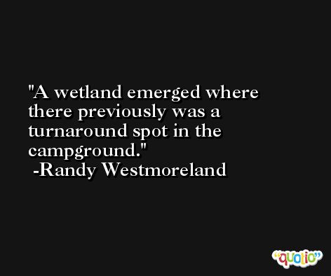 A wetland emerged where there previously was a turnaround spot in the campground. -Randy Westmoreland