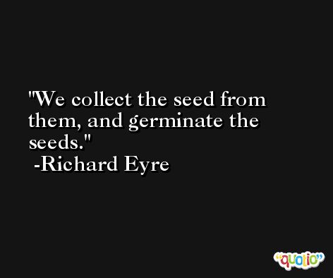 We collect the seed from them, and germinate the seeds. -Richard Eyre