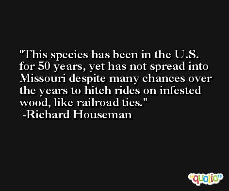 This species has been in the U.S. for 50 years, yet has not spread into Missouri despite many chances over the years to hitch rides on infested wood, like railroad ties. -Richard Houseman