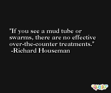 If you see a mud tube or swarms, there are no effective over-the-counter treatments. -Richard Houseman
