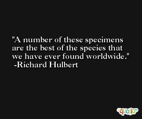 A number of these specimens are the best of the species that we have ever found worldwide. -Richard Hulbert