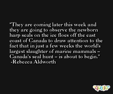They are coming later this week and they are going to observe the newborn harp seals on the ice floes off the east coast of Canada to draw attention to the fact that in just a few weeks the world's largest slaughter of marine mammals – Canada's seal hunt – is about to begin. -Rebecca Aldworth