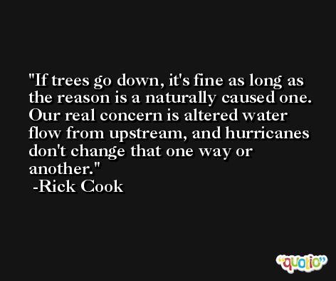 If trees go down, it's fine as long as the reason is a naturally caused one. Our real concern is altered water flow from upstream, and hurricanes don't change that one way or another. -Rick Cook