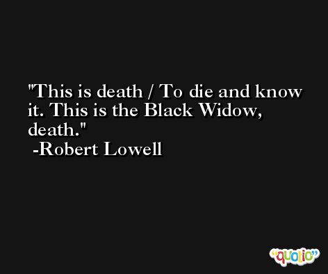 This is death / To die and know it. This is the Black Widow, death. -Robert Lowell
