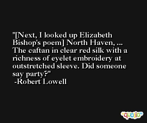 [Next, I looked up Elizabeth Bishop's poem] North Haven, ... The caftan in clear red silk with a richness of eyelet embroidery at outstretched sleeve. Did someone say party? -Robert Lowell