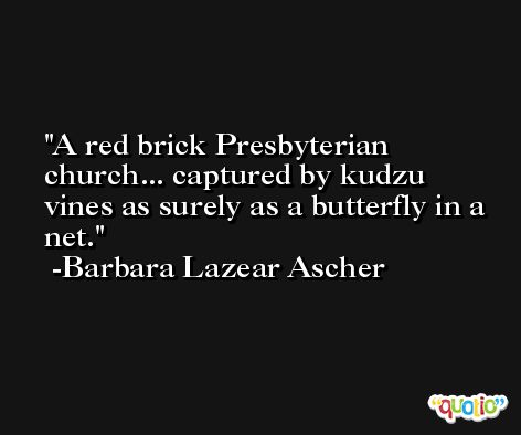A red brick Presbyterian church... captured by kudzu vines as surely as a butterfly in a net. -Barbara Lazear Ascher