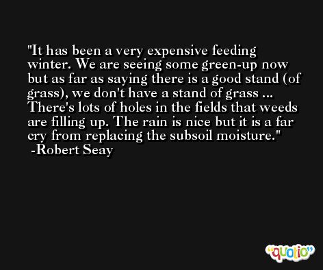 It has been a very expensive feeding winter. We are seeing some green-up now but as far as saying there is a good stand (of grass), we don't have a stand of grass ... There's lots of holes in the fields that weeds are filling up. The rain is nice but it is a far cry from replacing the subsoil moisture. -Robert Seay