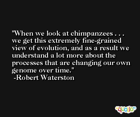 When we look at chimpanzees . . . we get this extremely fine-grained view of evolution, and as a result we understand a lot more about the processes that are changing our own genome over time. -Robert Waterston
