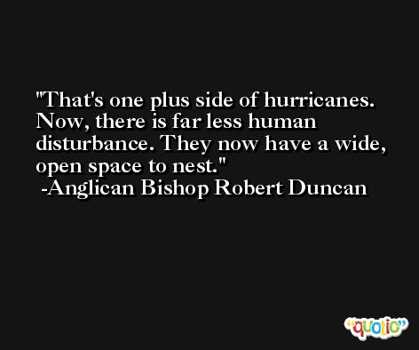 That's one plus side of hurricanes. Now, there is far less human disturbance. They now have a wide, open space to nest. -Anglican Bishop Robert Duncan