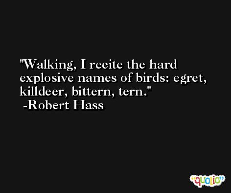 Walking, I recite the hard explosive names of birds: egret, killdeer, bittern, tern. -Robert Hass