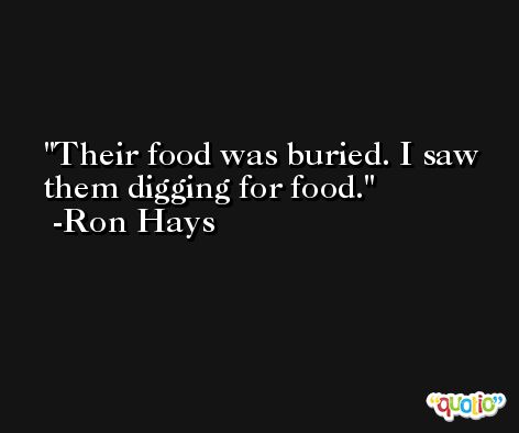 Their food was buried. I saw them digging for food. -Ron Hays