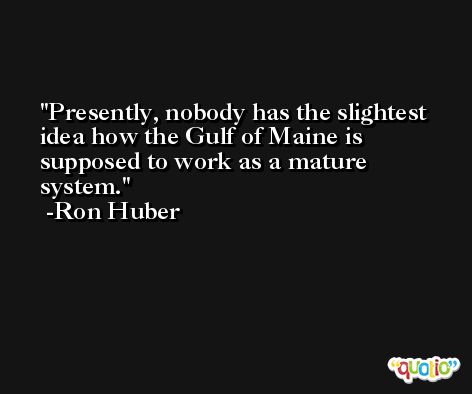 Presently, nobody has the slightest idea how the Gulf of Maine is supposed to work as a mature system. -Ron Huber