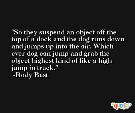 So they suspend an object off the top of a dock and the dog runs down and jumps up into the air. Which ever dog can jump and grab the object highest kind of like a high jump in track. -Rody Best
