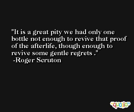 It is a great pity we had only one bottle not enough to revive that proof of the afterlife, though enough to revive some gentle regrets . -Roger Scruton