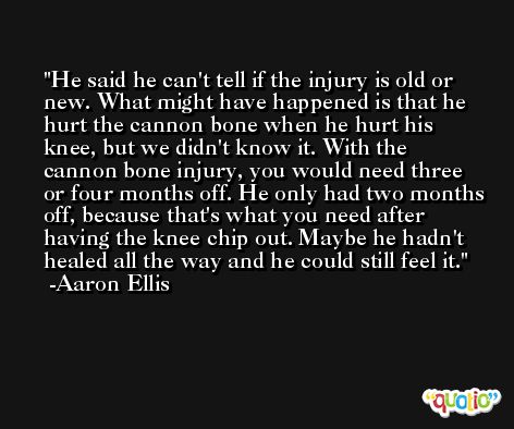 He said he can't tell if the injury is old or new. What might have happened is that he hurt the cannon bone when he hurt his knee, but we didn't know it. With the cannon bone injury, you would need three or four months off. He only had two months off, because that's what you need after having the knee chip out. Maybe he hadn't healed all the way and he could still feel it. -Aaron Ellis