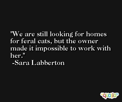 We are still looking for homes for feral cats, but the owner made it impossible to work with her. -Sara Labberton