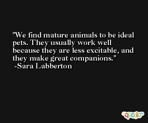 We find mature animals to be ideal pets. They usually work well because they are less excitable, and they make great companions. -Sara Labberton