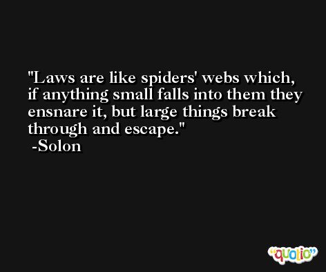 Laws are like spiders' webs which, if anything small falls into them they ensnare it, but large things break through and escape. -Solon
