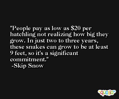 People pay as low as $20 per hatchling not realizing how big they grow. In just two to three years, these snakes can grow to be at least 9 feet, so it's a significant commitment. -Skip Snow