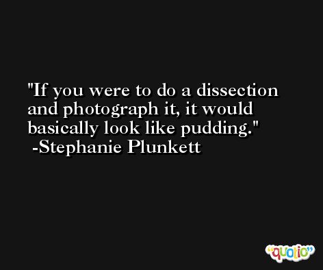 If you were to do a dissection and photograph it, it would basically look like pudding. -Stephanie Plunkett