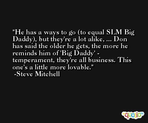 He has a ways to go (to equal SLM Big Daddy), but they're a lot alike, ... Don has said the older he gets, the more he reminds him of 'Big Daddy' - temperament, they're all business. This one's a little more lovable. -Steve Mitchell