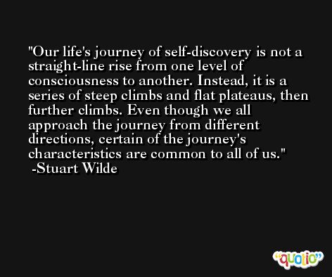 Our life's journey of self-discovery is not a straight-line rise from one level of consciousness to another. Instead, it is a series of steep climbs and flat plateaus, then further climbs. Even though we all approach the journey from different directions, certain of the journey's characteristics are common to all of us. -Stuart Wilde