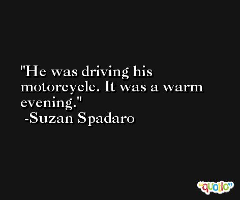 He was driving his motorcycle. It was a warm evening. -Suzan Spadaro