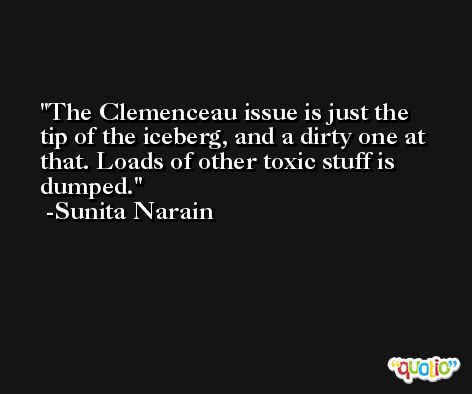 The Clemenceau issue is just the tip of the iceberg, and a dirty one at that. Loads of other toxic stuff is dumped. -Sunita Narain