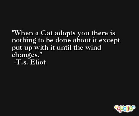 When a Cat adopts you there is nothing to be done about it except put up with it until the wind changes. -T.s. Eliot