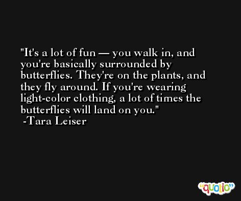 It's a lot of fun — you walk in, and you're basically surrounded by butterflies. They're on the plants, and they fly around. If you're wearing light-color clothing, a lot of times the butterflies will land on you. -Tara Leiser