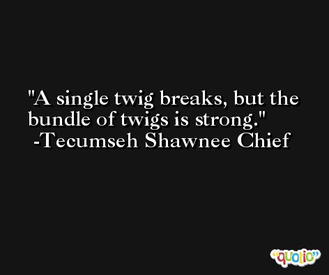 A single twig breaks, but the bundle of twigs is strong. -Tecumseh Shawnee Chief