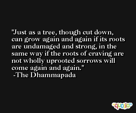 Just as a tree, though cut down, can grow again and again if its roots are undamaged and strong, in the same way if the roots of craving are not wholly uprooted sorrows will come again and again. -The Dhammapada