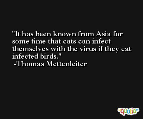 It has been known from Asia for some time that cats can infect themselves with the virus if they eat infected birds. -Thomas Mettenleiter