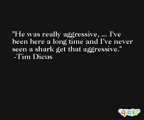 He was really aggressive, ... I've been here a long time and I've never seen a shark get that aggressive. -Tim Dicus