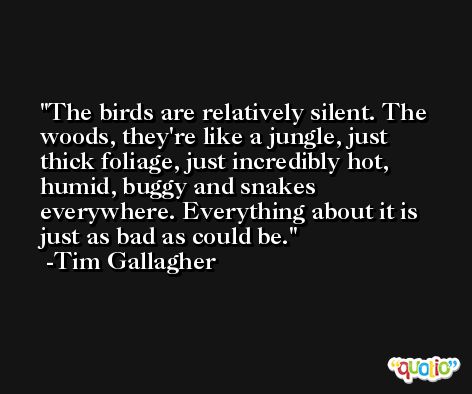 The birds are relatively silent. The woods, they're like a jungle, just thick foliage, just incredibly hot, humid, buggy and snakes everywhere. Everything about it is just as bad as could be. -Tim Gallagher