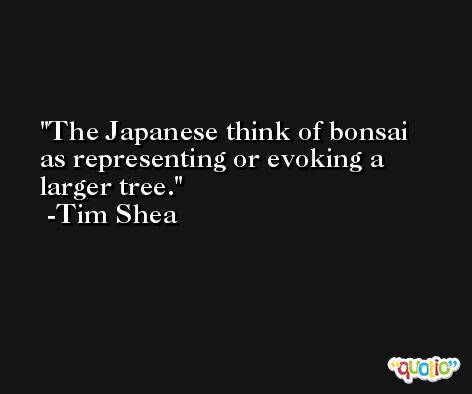 The Japanese think of bonsai as representing or evoking a larger tree. -Tim Shea
