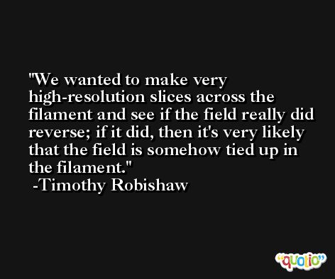 We wanted to make very high-resolution slices across the filament and see if the field really did reverse; if it did, then it's very likely that the field is somehow tied up in the filament. -Timothy Robishaw
