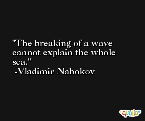 The breaking of a wave cannot explain the whole sea. -Vladimir Nabokov