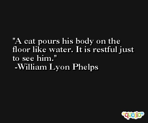 A cat pours his body on the floor like water. It is restful just to see him. -William Lyon Phelps